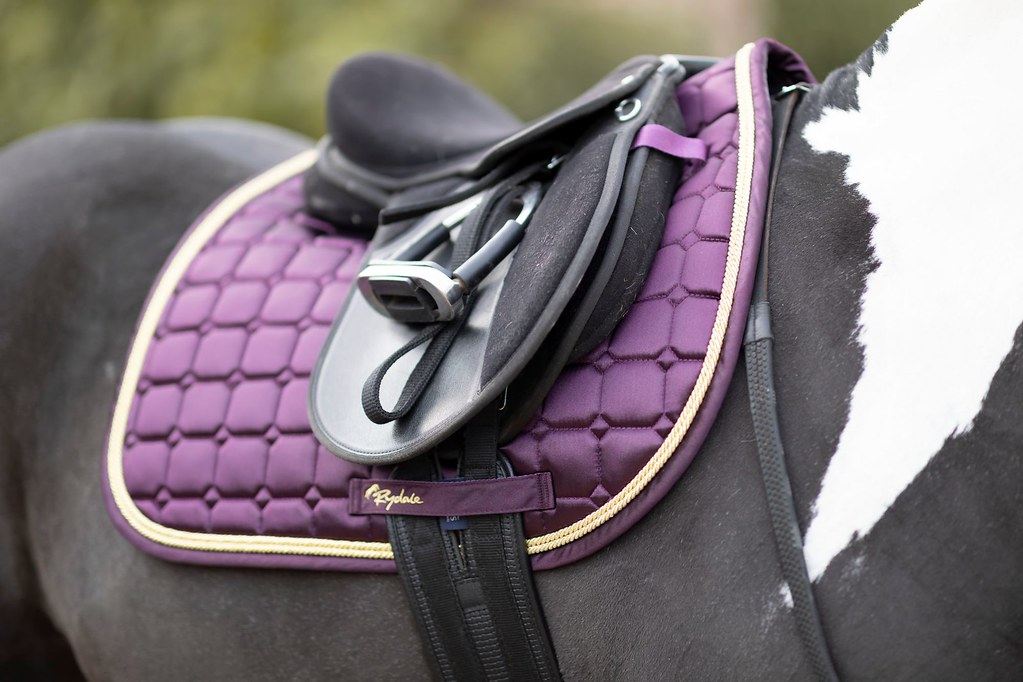 Purple english saddle pads with horse saddle