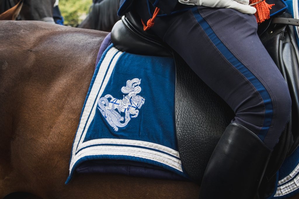 person riding horse with saddle